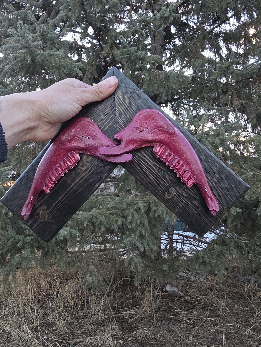Handmade Red Dyed Goat Jawbone Mount